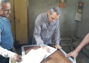 إحالة ١٨ موظف للتحقيق لغيابهم بدون عذر بالمنيا