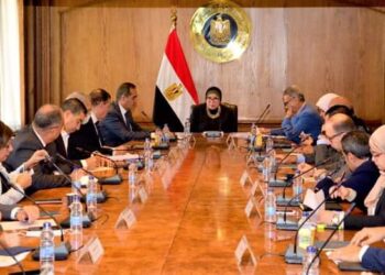 وزيرة التجارة والصناعة تبحث مع ممثلى المجالس التصديرية سبل تعزيز الصادرات المصرية للأسواق الخارجية