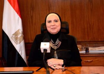 وزيرة التجارة والصناعة تصدر قرارين وزاريين بإيقاف العمل بالتدابير الوقائية المفروضة على واردات البليت وحديد التسليح ومنتجات الألومنيوم