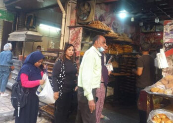 حملات التفتيش على الصيدليات والمحلات بحي وسط  يسفر عن غلق 5 منشآت