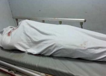 مصرع سيدة صدمتها سيارة خلال عبورها طريق “مسطرد – أبو زعبل”