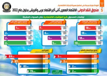 “النقد الدولي”: الاقتصاد المصري ثاني أكبر اقتصاد عربي وأفريقي بحلول عام 2022