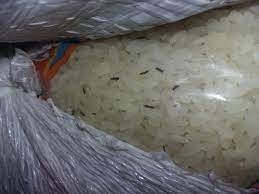 ضبط “9,5” أطنان من المخللات والأرز مجهول المصدر بالقناطر الخيرية