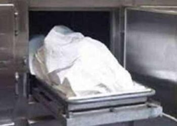 العثور على جثة فتاة بطريق شبرا بنها الحر