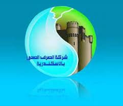 رئيس شركة الصرف بالإسكندرية: نزح المياه من 11 موقعا بطريق الكورنيش