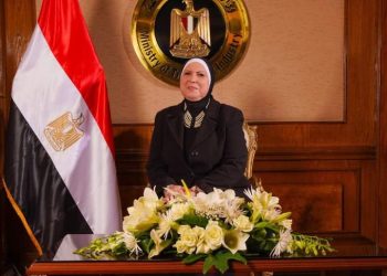 وزيرة التجارة والصناعة تصدر قراراً باشتراطات الإفراج عن سيارات الركوب من الفئة M1 الواردة للاتجار حتى 7 مقاعد بخلاف السائق