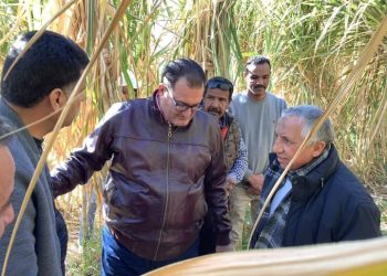 لجنة من وزارة الزراعة تتفقد مصانع إنتاج شتلات القصب بأسوان