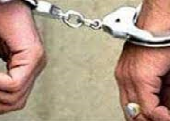 ضبط “21” عاطلا بتهمة حيازة مواد مخدرة وأسلحة نارية بالقليوبية