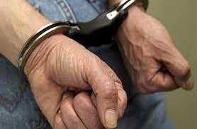 ضبط عاطل بتهمة حيازة “33” قطعة حشيش بشبرا الخيمة