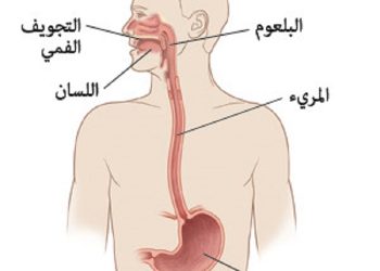 “ألبرت” يحذر من خطورة بعض الأغذية  لمرضى التهاب المرئ الارتجاعي