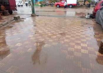 أمطار غزيرة ورعد بالقليوبية