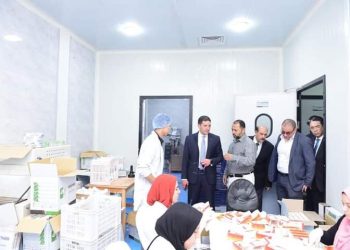 رئيس هيئة الاستثمار  يتفقد العمل بمشروعات المنطقتين  الاستثماريتين ببنها وميت غمر ويتابع رفع الكفاءة الإنتاجية بها