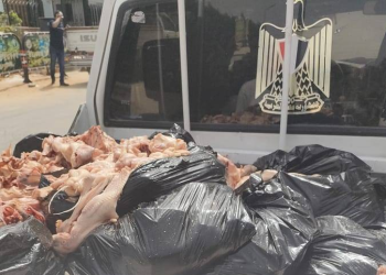 محافظ الإسكندرية : تحرير 35 محضر والتحفظ على نحو 15 طن مضبوطات