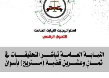 النيابة العامة تباشر تحقيقات 28 قضية بأسوان