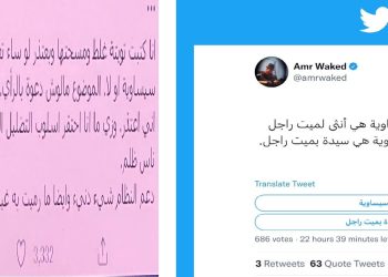 نهاد أبو القمصان: إهانة النساء المصريات باتهامات عنصرية تستوجب المحاكمة