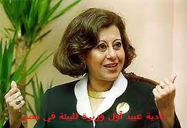 “الاقتصاد الأزرق على ضفاف النيل” أولى فعاليات المبادرة الوطنية لريادة الأعمال المستدامة