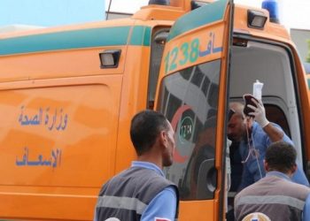مصرع طفلة واصابة شقيقها في حادث تصادم سيارة بملفات السراج بأدفو