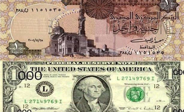 سعر الدولار يواصل الارتفاع أمام الجنيه