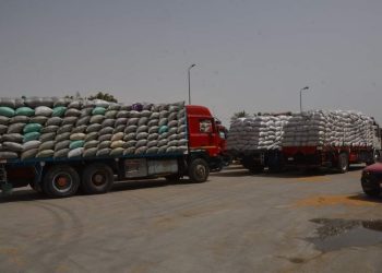 محافظ بني سويف : استلام  193 ألف طن  من الأقماح المحلية