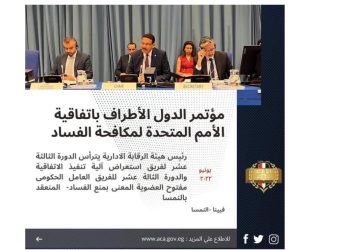 رئيس هيئة الرقابة الإدارية يترأس مجموعات عمل اتفاقية الأمم المتحدة بفيينا