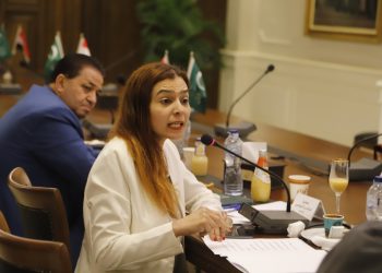 هاجر التونسي ممثلة للمرأة عن الوفد في لجنة الحوار الوطني
