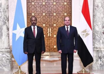 السيسى يؤكد على دعم الصومال للتعامل مع مختلف التحديات التى يواجهها خاصةً خطر التطرف والإرهاب