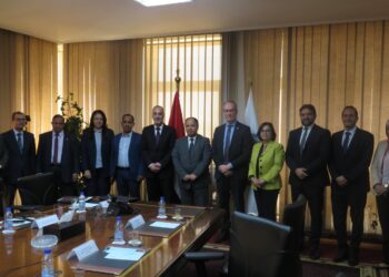 وزير المالية لسفير السويد ممثلي الشركات السويدية بمصر: المؤتمر الاقتصادي منصة وطنية للحوار حول الأولويات المحفزة للاستثمار