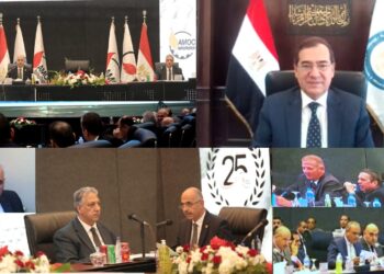 وزير البترول يعتمد نتائج أعمال شركة الإسكندرية للزيوت المعدنية “أموك”
