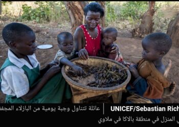 الأطفال يشكلون نصف عدد الجياع في ٨٢ دولة وتحالف الوجبات المدرسية  للحماية من الجوع