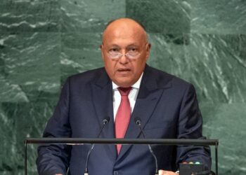 “شكري”: التمسك بالوسائل السلمية لتسوية النزاعات المائية ليس ضعفاً لكنه إدراكاً للآثار السلبية للصراعات على الشعوب