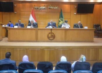 محافظ القليوبية يترأس اللجنة العامة لحماية الطفل ويؤكد على أهمية رعاية الطفل وحمايته