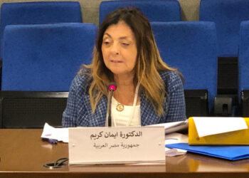 “القومي للإعاقة” يشارك في اجتماع مجموعة الخبراء المعنية بقضايا الإعاقة في الدول العربية