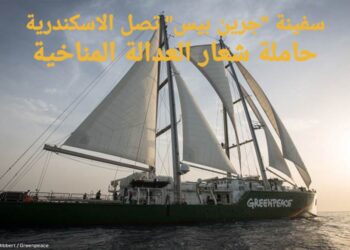 شباب إفريقيا والشرق الأوسط يصلون الإسكندرية رافعين شعار “العدالة المناخية” على “جرين بيس”