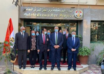 “الزراعة”: فحص ٩٦٨ ألف طن من بطاطس المائدة خلال الموسم التصديري بإجمالي  ٦٥٩  ألف فدان خالية من العفن البني