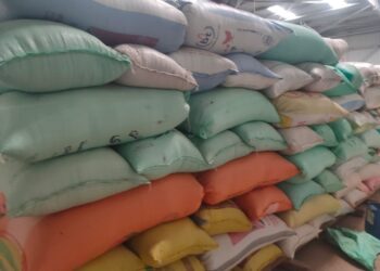 بالصور.. توريد 178 طن أرز شعير لشون محافظة البحيرة