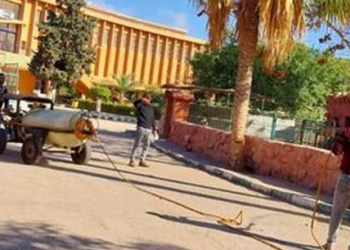 زراعة الإسكندرية: لجان فنية لمكافحة «سوسة النخيل الحمراء» بحدائق المنتزة وأنطونيادس