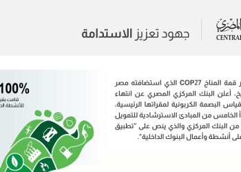 البنك المركزي المصري: البنوك المصرية التزمت بقياس البصمة الكربونية بمبانيها الرئيسية