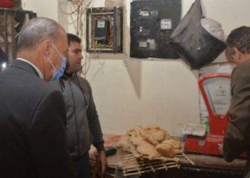 محافظ القليوبية يتفقد المخابز بمدن بنها وكفر شكر وطوخ