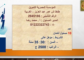 في نشرة التوظيف..”القوى العاملة”: 14 شركة خاصة في 6 محافظات تعلن عن 1223 فرصة عمل