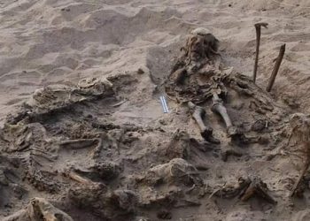 “أكاديمية روسية”: اكتشاف “دفنة أثرية” لطفل مع كلاب بمصر