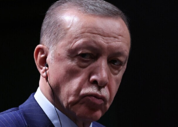 أردوغان: تصدير أكثر من 16 مليون طن من المنتجات الزراعية الأوكرانية عبر الممر الآمن