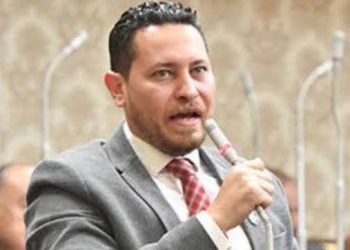 برلمانى: يشيد بالتعاون القائم بين الشركة المتحدة والهيئة العامة لقصور الثقافة لنشر الوعي الثقافي