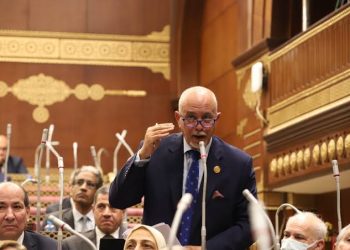 برلمانى: يطالب بتطبيق التسعيرة الجبرية على بعض السلع الأساسية والاستراتيجي