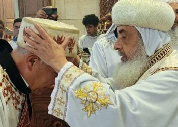 سكرتير المجمع المقدس يسيم دياكون جديد بإيبارشية المعادي