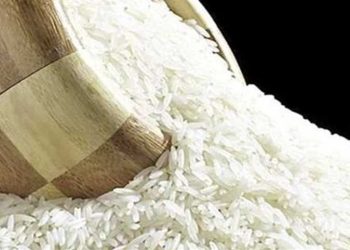 التموين تعلن عن مناقصة لاستيراد أرز قصير الحبة