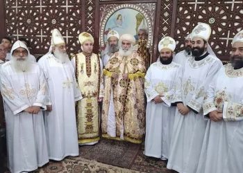 سيامة كاهن جديد بقرية طوخ دلكا