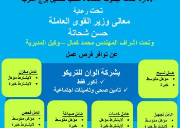 “القوى العاملة”: فرص عمل للشباب بالأسكندرية