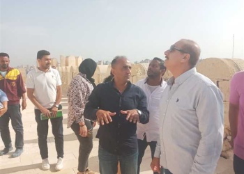 أول مشروع هندسي شامل لقلعة قايتباى في الاسكندرية تنفذه هيئة الشواطئ لحماية الصخرة الأم للقلعة