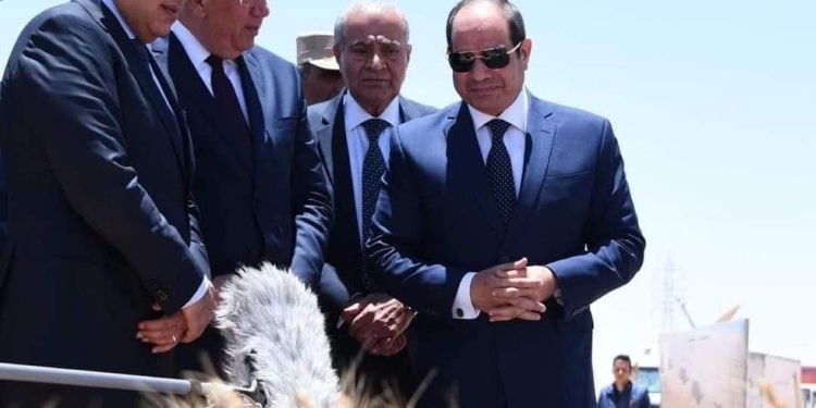 وزارة الزراعة: 30 يونيو وضعت الزراعة على أولوية الدولة المصرية