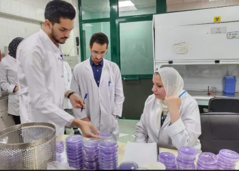“الزراعة”:  فحص ٨٨٦ الف طن بطاطس للتصدير منذ بداية العام وحتى نهاية مايو